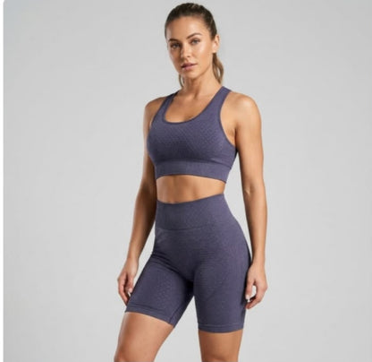 SET DEPORTIVO CORTO TOP/ SHORT AM-414 MORADO OSCURO